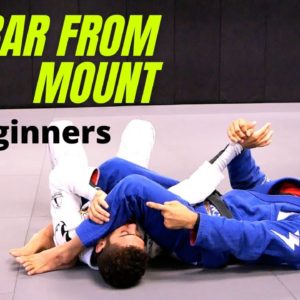 Basic Armbar from the Mount for Beginners | Cobrinha BJJ