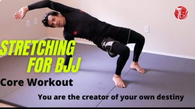 Stretching & Flexibility for BJJ | Core Workout | Cobrinha BJJ