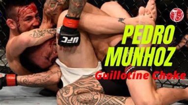 Pedro Munhoz "THE YOUNG PUNISHER"  Guillotine Choke from the Turtle | Cobrinha BJJ