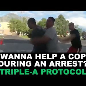 Wanna Help a Cop During an Arrest? Consider the "Triple-A" Protocol