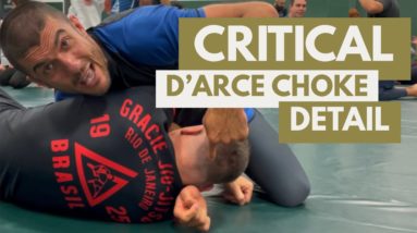 Critical D’Arce Choke Detail from Las Vegas