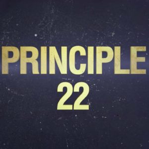 Principle 22: Pivot (The 32 Principles of Jiu-Jitsu)