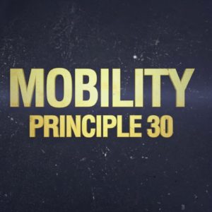 Principle 30: Mobility (The 32 Principles of Jiu-Jitsu)