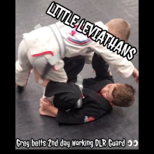 Little Leviathans - Grey Belts 2nd day working some DLR 👀