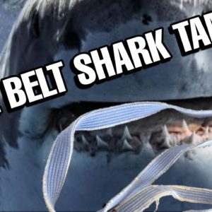 New Blue Belt Shark Tank at Leviathan Academy