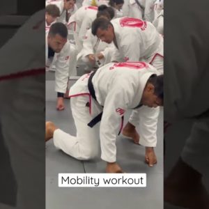 Mobility Workout