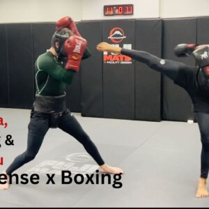 Capoeira | Wrestling & Jiu Jitsu X Boxing Self Defense | Cobrinha BJJ