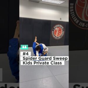 #4 Spider Guard to Scissor Sweep to Triangle | Cobrinha BJJ #bjjlife #spiderguard