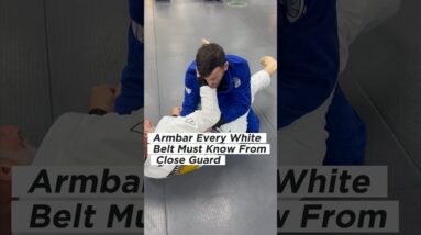 Armbar Every White Belt Must Know From Closed Guard | COBRINHA BJJ