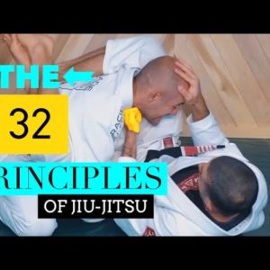The 32 Principles (Coming Soon)