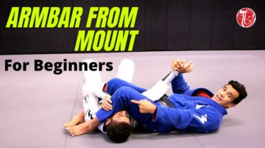 Basic Armbar from the Mount for Beginners | Cobrinha BJJ