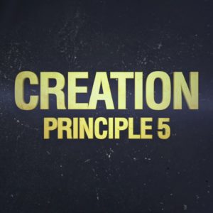Principle 5: Creation (The 32 Principles of Jiu-Jitsu)
