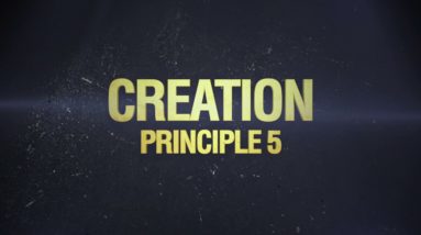 Principle 5: Creation (The 32 Principles of Jiu-Jitsu)