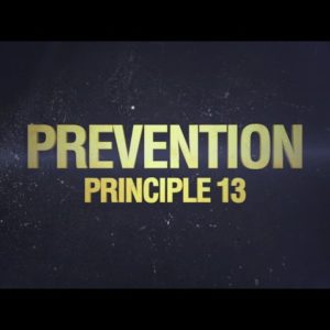 Principle 13: Prevention (The 32 Principles of Jiu-Jitsu)