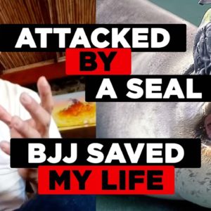 Attacked By A Seal! "BJJ Saved My Life"