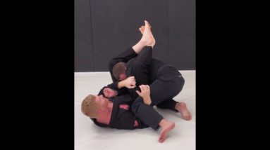 Crooked/High Guard Options🔥 great position white-black belt!