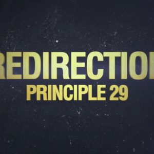 Principle 29: Redirection (The 32 Principles of Jiu-Jitsu)