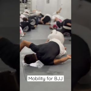 Mobility for BJJ