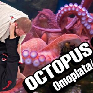 Octopus Grip to Omoplata/Armlock