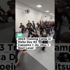 Capoeira Warmup for Jiu Jitsu | Cobrinha BJJ